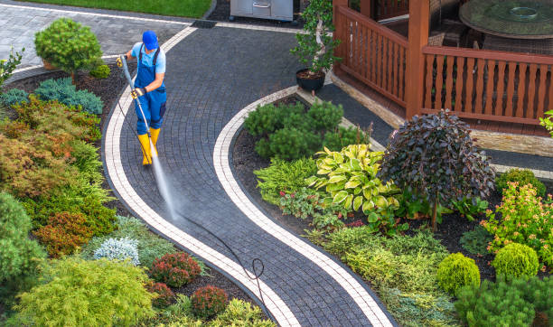 Professional Pressure Washing in Bulverde, TX